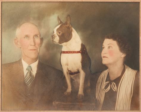 fannin  ga historical   information carlton juan hipp