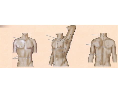 reference lines quiz