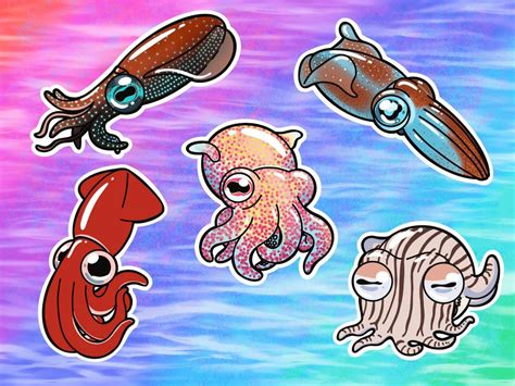 Squid Vinyl Stickers/decals: Bobtail Caribbean Reef Firefly - Etsy