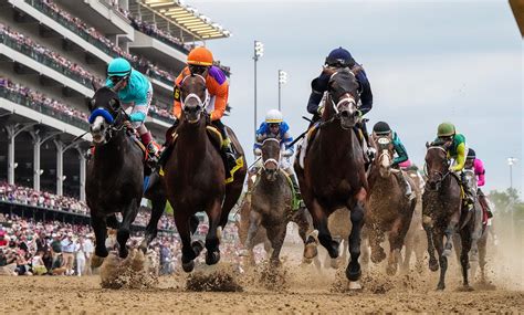Preakness 2025 horses: See favorites, records, jockeys, full bios
