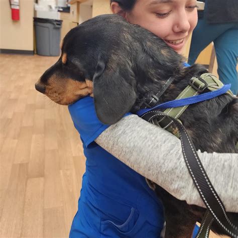 noah's ark animal clinic of colerain 3