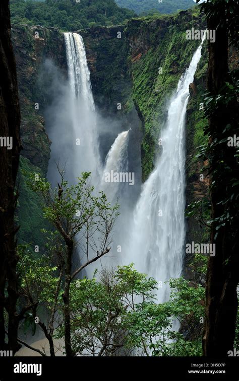 jog falls,karnataka,india. jog falls is the highest waterfall in india ...