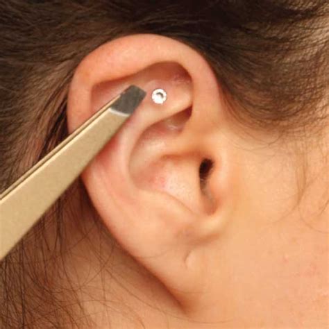 Ear Seeds Products – Everything you need to learn proper Ear Seed Placement