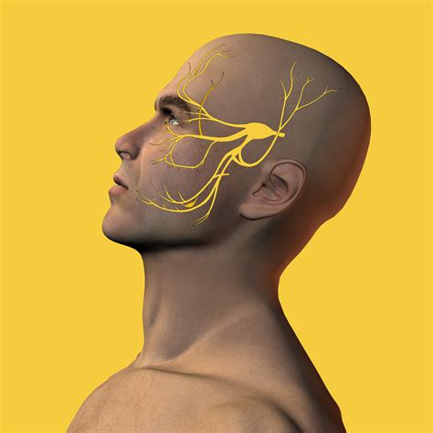 Nerve Volumes Predict Surgical Outcome in Patients With Trigeminal