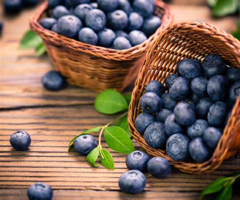 Benefits of Bilberry for Human Health | by Knowledgedoctor | Medium