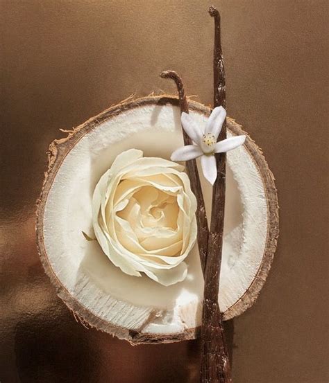 by two_athome on Candle Design Ideas in 2025 | Vanilla coconut ...