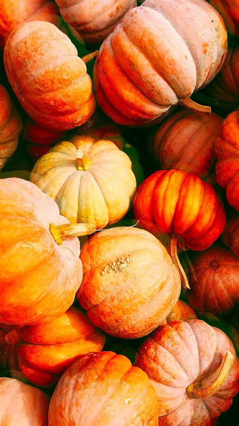 [300+] Fall Backgrounds | Wallpapers.com