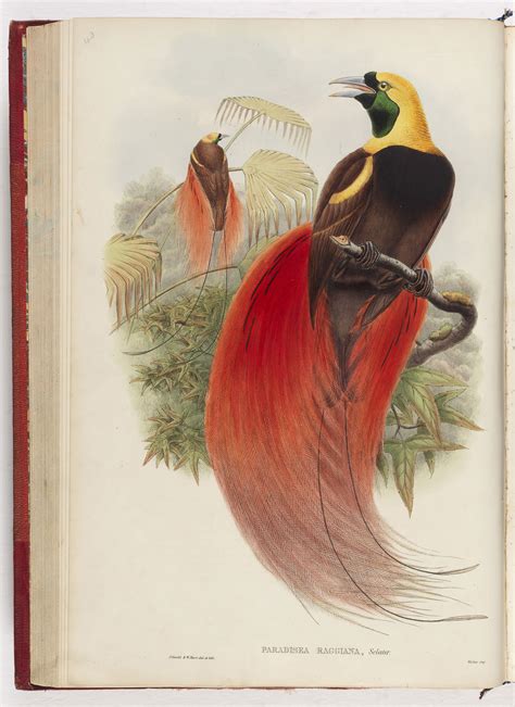 Papua New Guinea: forty years of independence | State Library of NSW