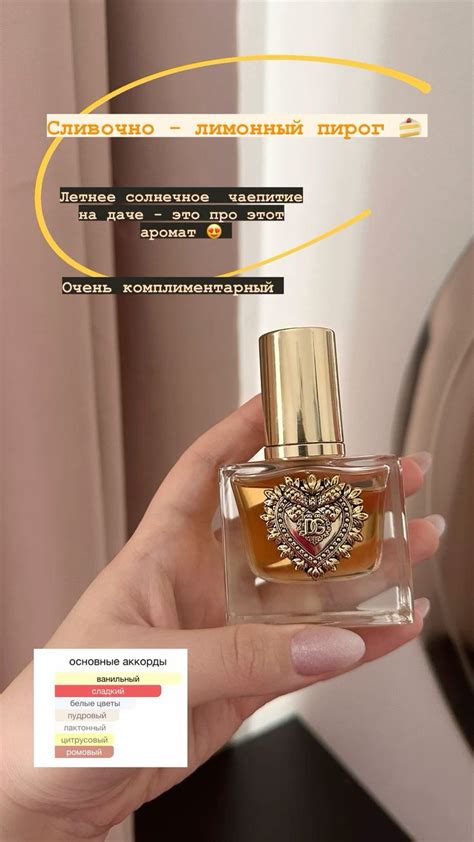 Devotion Dolce&Gabbana ️ в 2024 г | Макияж для тела, Предметы макияжа ...