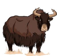 yak gifs tenor