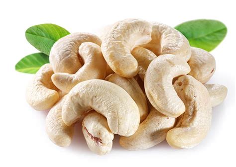 cashew niavaran export