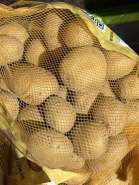 Посадкова картопля Рівєра Пікассо Констанс 1 репродукція: 150 грн ...