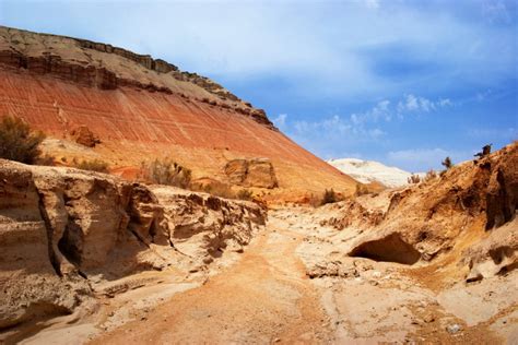Tour to Altyn-Emel from Almaty - 2 Days