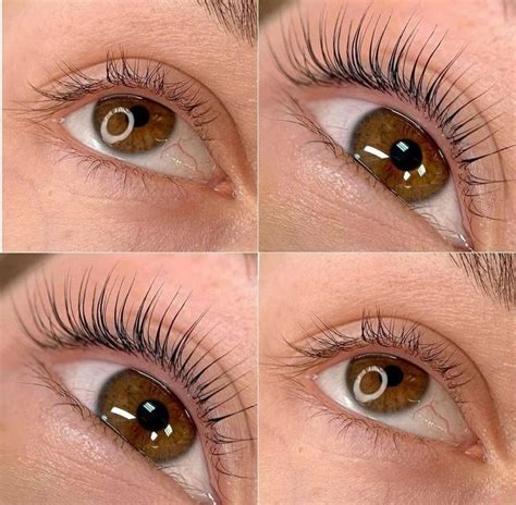 lash lift results with kit linked in bio | Ресницы советы, Корекция ...