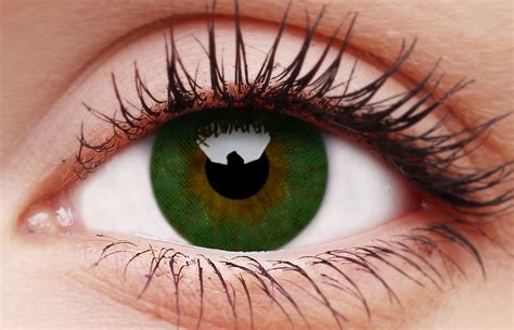 ColourVUE Basic Green Coloured Contact Lenses