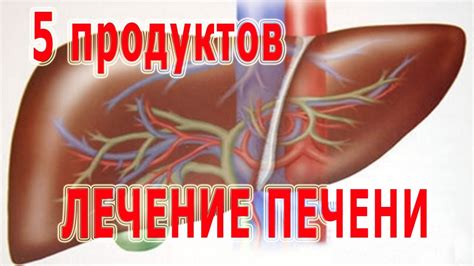 ★ЛЕЧЕНИЕ ПЕЧЕНИ. 5 суперпродуктов для улучшения работы печени. - YouTube