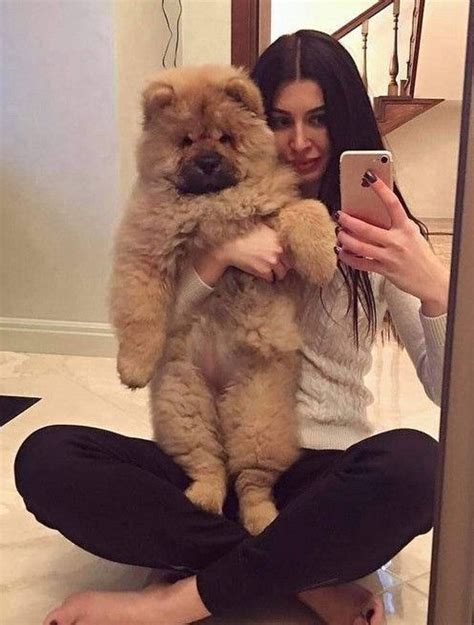 Pin by Carmen Williams on Dogs | Very cute puppies, Fluffy dogs, Very ...
