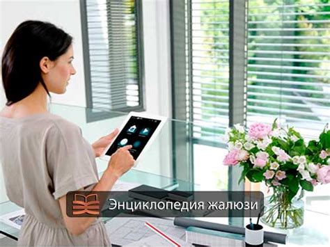 Наружные, уличные металлические жалюзи на окна - виды, системы | ЭЖ
