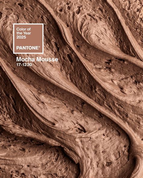 Pantone Color of the Year 2025: PANTONE Mocha Mousse | Pantone, Color ...