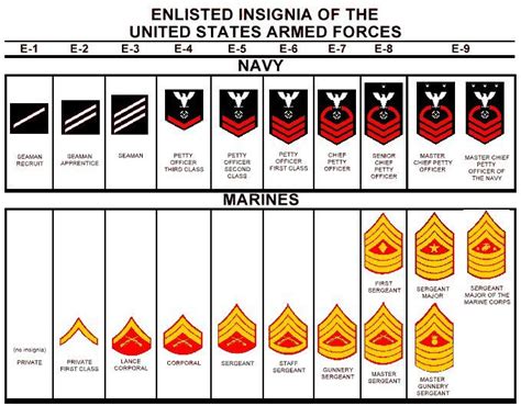 Image result for navy rankings | Navy ranks, Navy rank insignia, Us ...