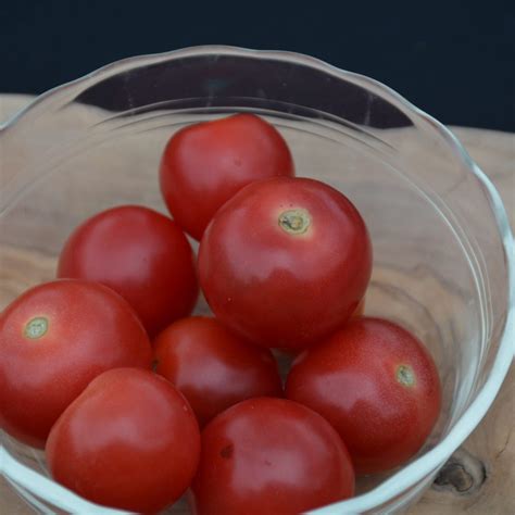 Husky Red Cherry Tomato | Platt Hill Nursery