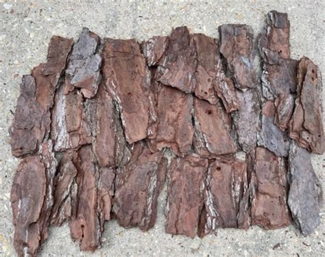 Pine Tree Bark, 2 Lbs. Pine Tree Bark Sheets, Fairy House Accessory ...