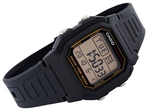 Casio W-800 | Berup.com