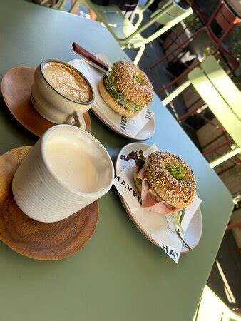 laptop friendly cafe haven coffee haymarket sydney