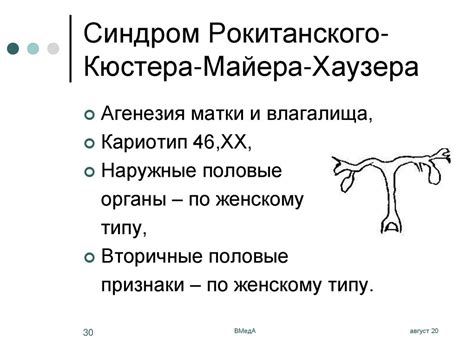 Онтогенез репродуктивной системы женщины, пороки развития, нарушения ...
