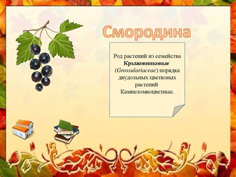 Ягоды северного края - презентация онлайн