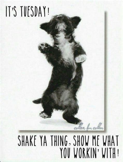 Happy Tuesday Memes for Work: The Unexpected Secret to Employee Retention - 7nx4l1d