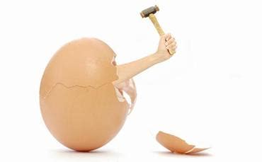 Breaking out of the shell | AVCJ