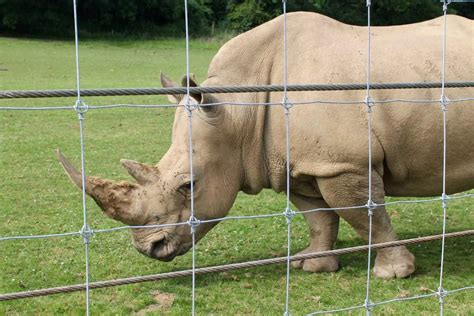 Noah's Ark Zoo Farm Review | Family Fun in Bristol - Mini Travellers ...