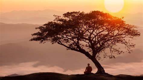 zen buddhism  history  practices explained