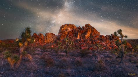 The Unseen - Signature Series – Riley Clark Fine Art