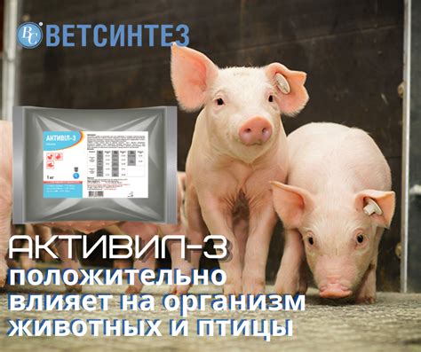 Влияние пробиотиков на организм животных и птицы – Интернет-магазин ...