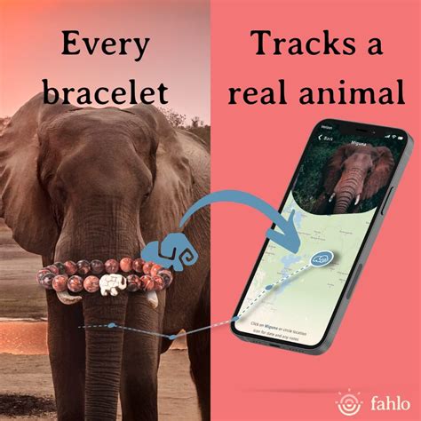 Amazon.com: Fahlo Elephant Tracking Bracelet, Elastic, supports Save ...
