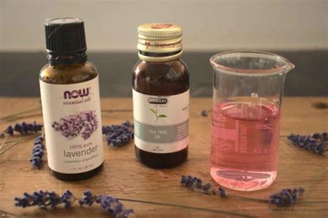 Homemade bed bug spray: get rid of bed bugs fast - SimplyBeyondHerbs