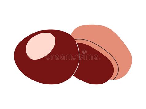 Buckeye Nut Vector Stock Illustrations – 79 Buckeye Nut Vector Stock ...