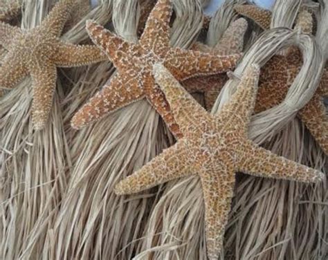 item  unavailable etsy