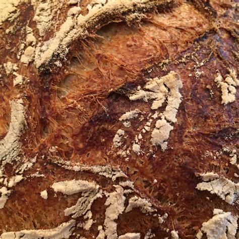 Water Yeast Salt Flour