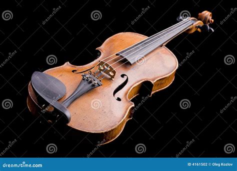 Fiol arkivfoto. Bild av aconiten, instrumentell, fiol - 4161502