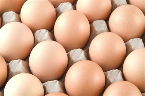 a single egg in a tray 27093710 Stock Photo at Vecteezy