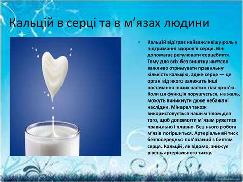 Кальцій у організмі людини - презентация онлайн