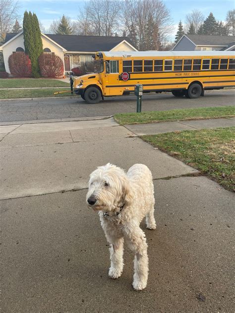 Kathy Showers (@kathyshowers) • Instagram photos and videos