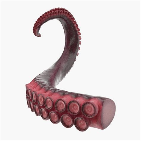 Tentacles 3d Porn