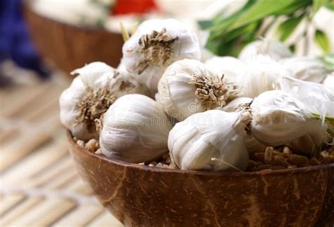 Garlic pods stock photo. Image of organic, nutrition - 17608964