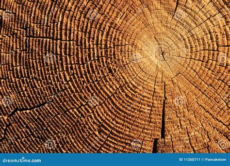 log  grain stock   royalty  stock