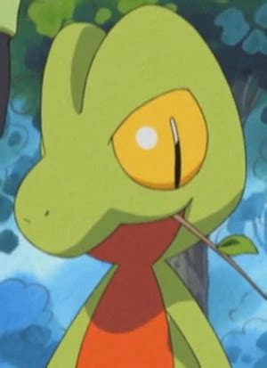 Treecko (Character) – aniSearch.com