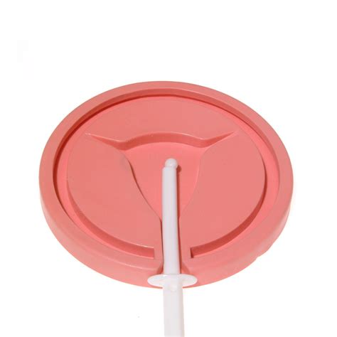 museum  contraception  abortion